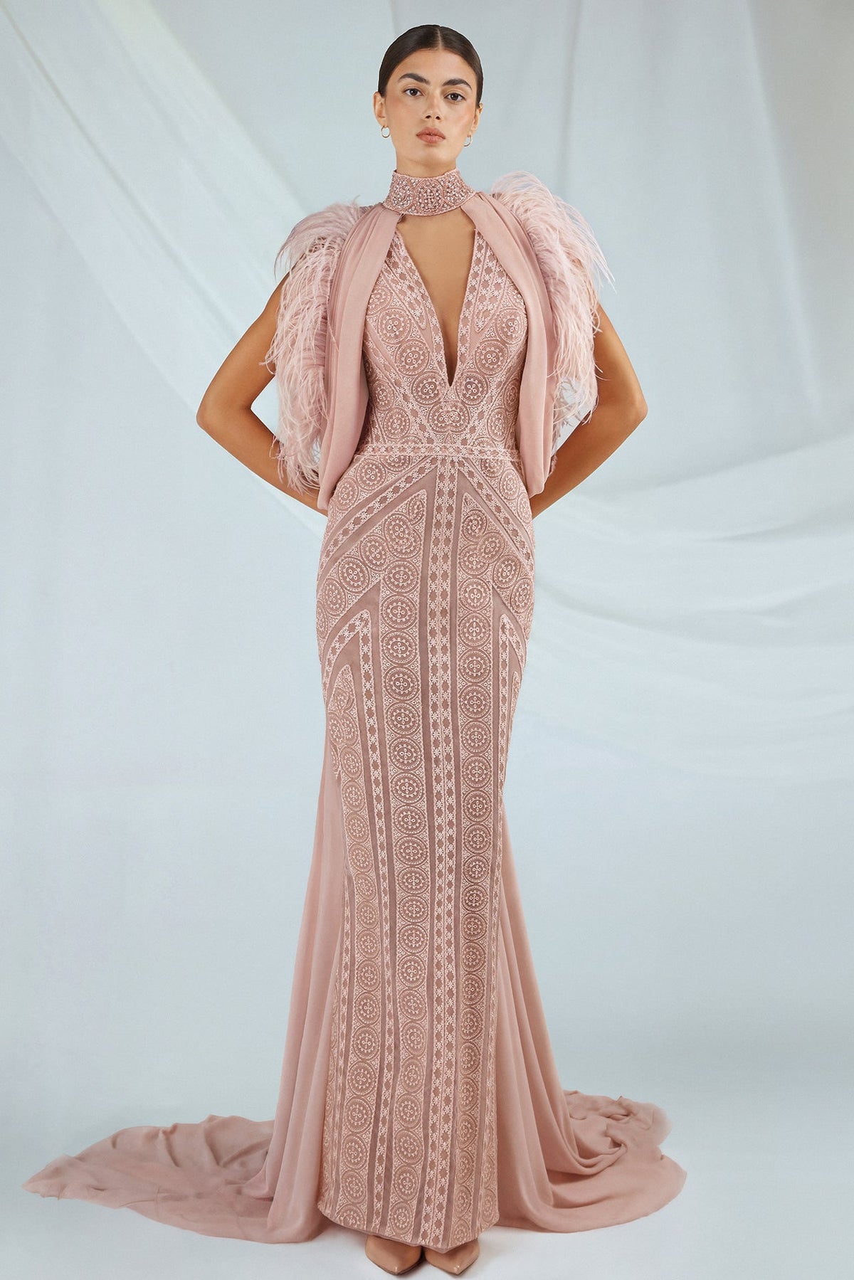 Feather-Trim Cape Gown