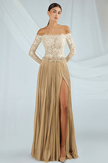 Lace Long-Sleeve Pleated Gown