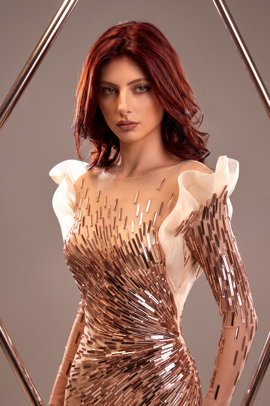 The Dress of Lili