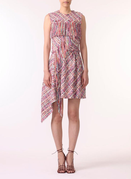 Tweed Fringe Dress