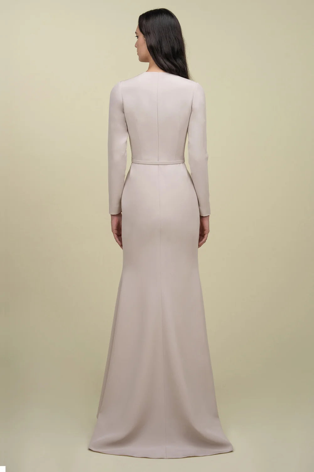 Long Sleeve Sleek Gown