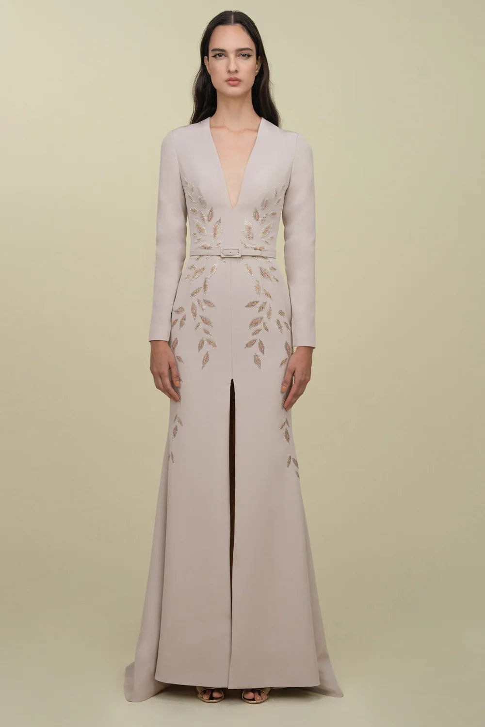 Long Sleeve Sleek Gown