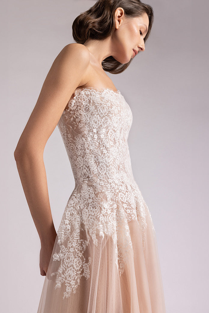 Two-Tone Lace Tulle Gown