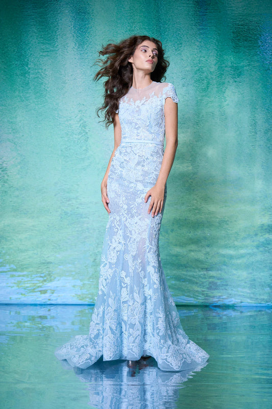 Cap Sleeve Lace Gown