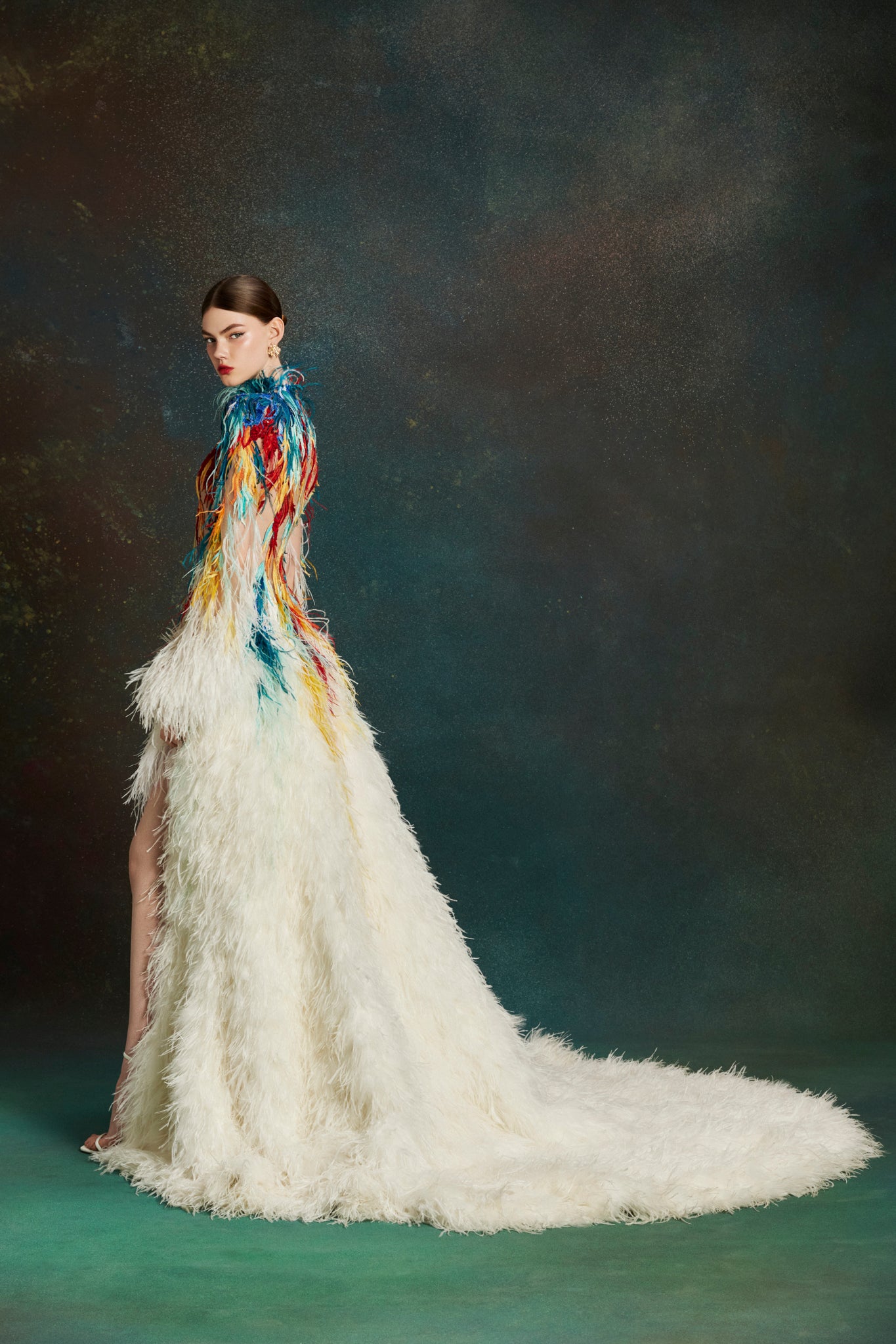 Painted Plume Gown