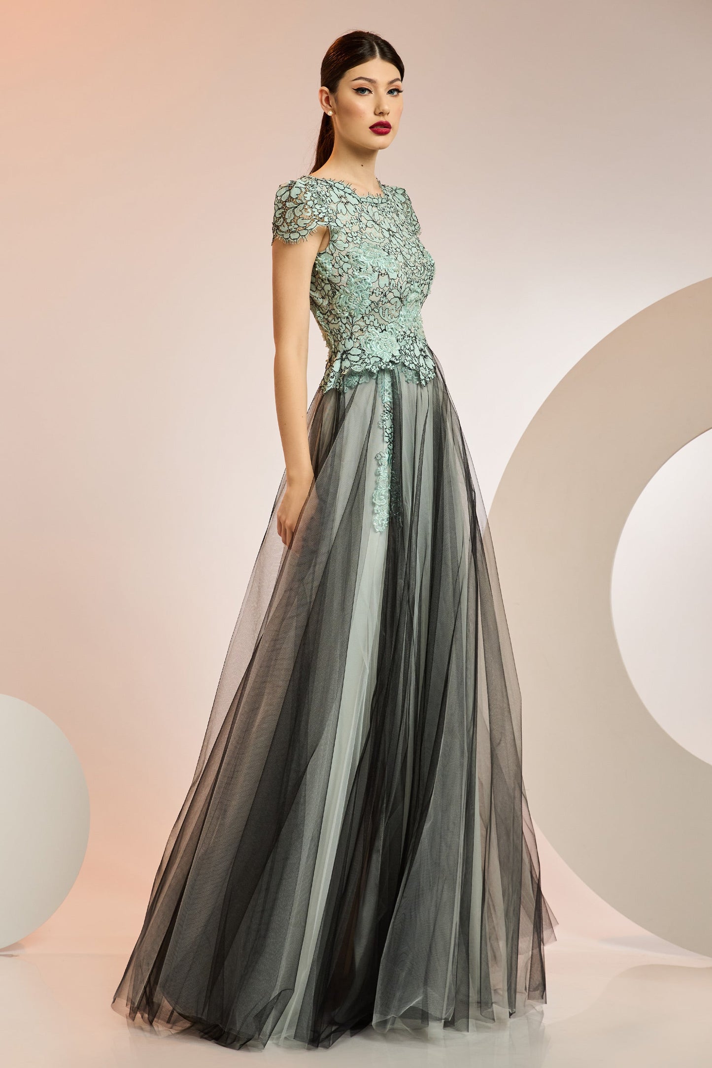 Lace and Tulle Cap Sleeve Gown