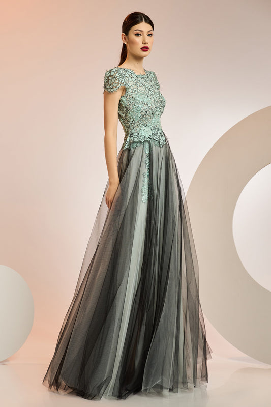 Lace and Tulle Cap Sleeve Gown