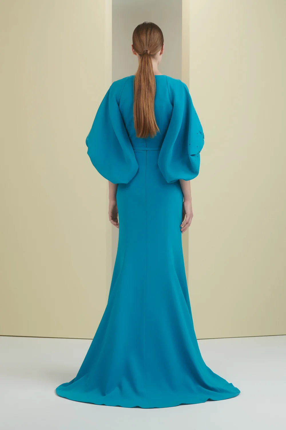 Voluminous Sleeve Gown