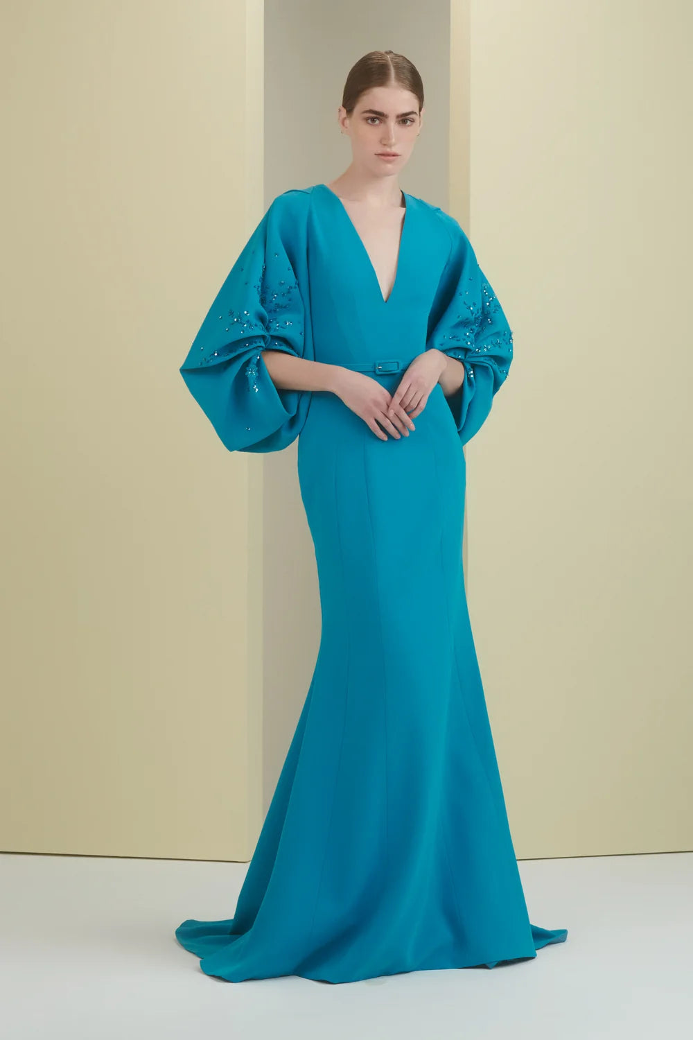 Voluminous Sleeve Gown