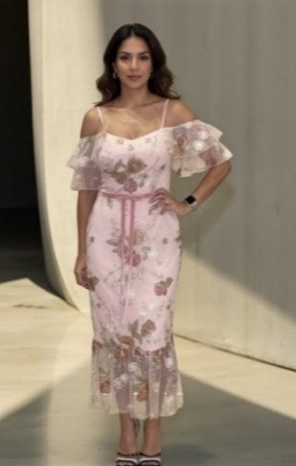 Embroidered Blush Dress