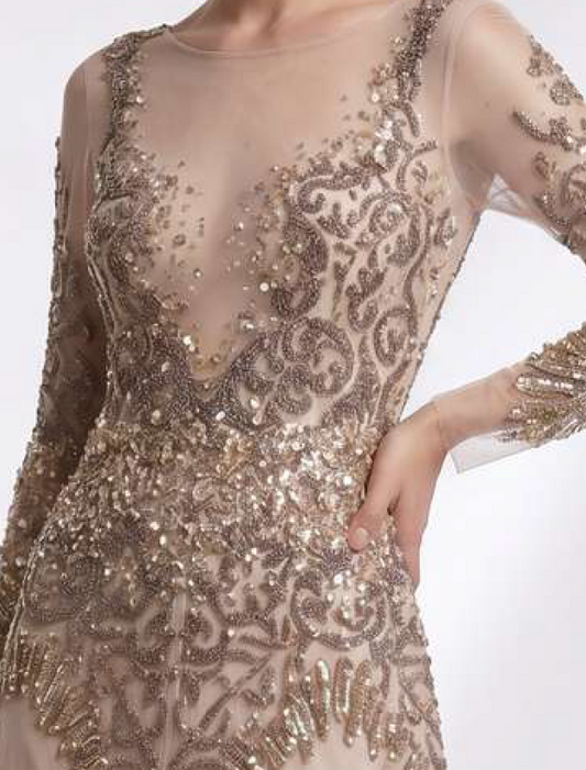 Illusion Plunge Neck Gown