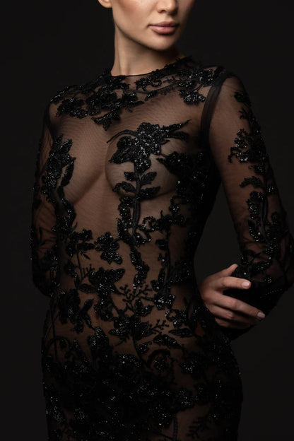 Sheer Gown