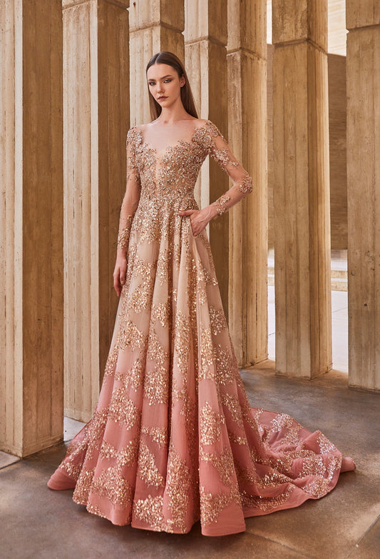 Ombre Tulle Gown