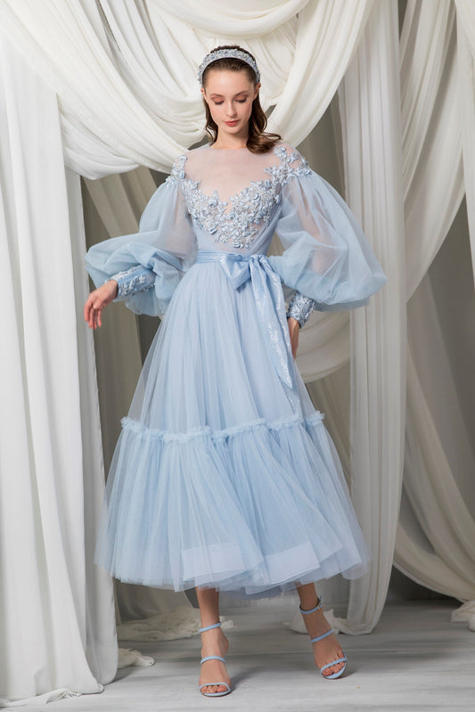 Long Sleeve Edwardian Tulle Dress
