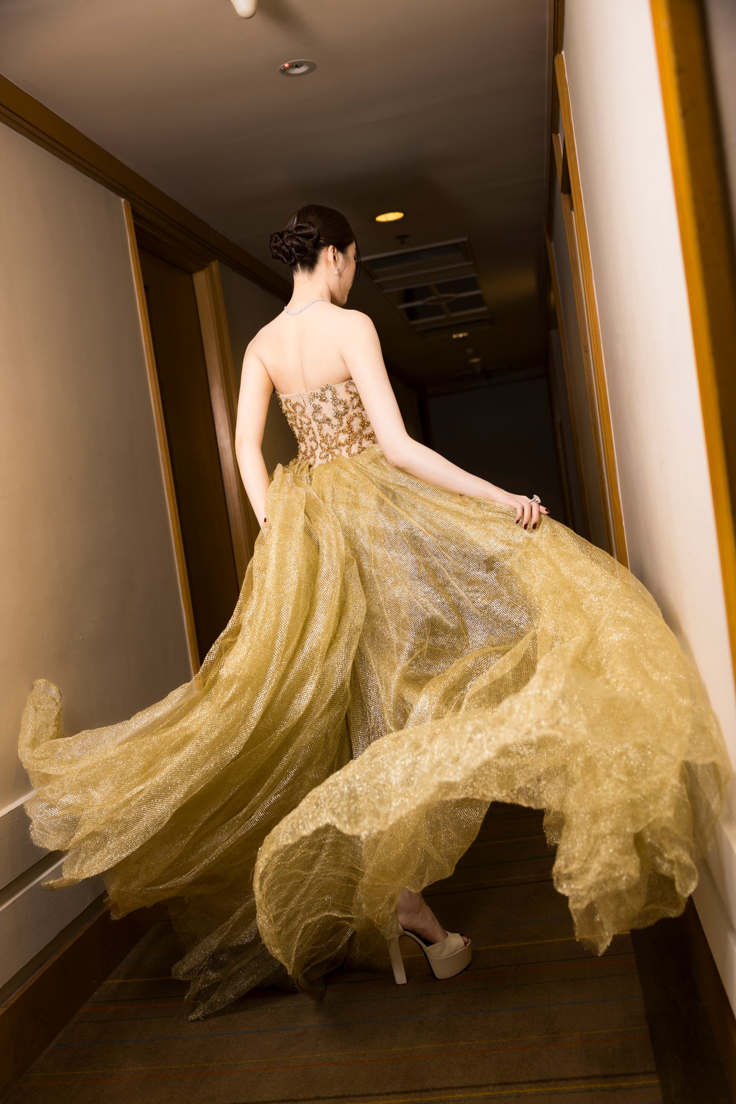 Sparkling Gown