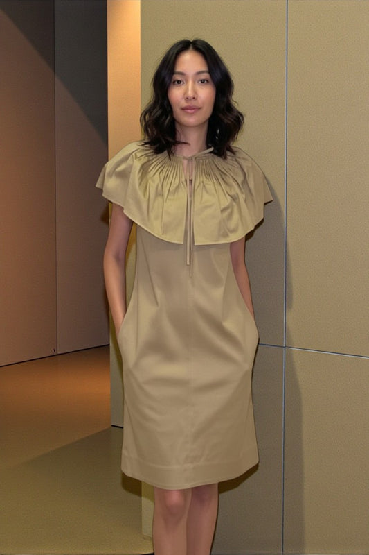 Oversized Collar Dress