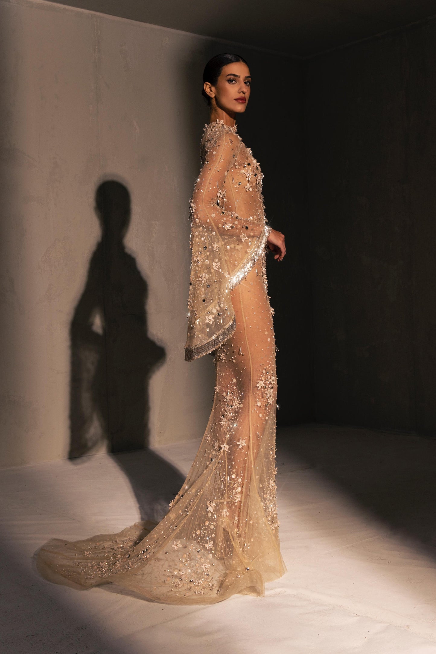 Sheer Embellished Gown