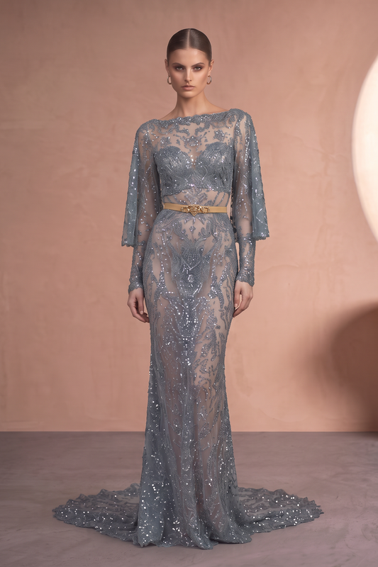 Long Sleeve Illusion Gown