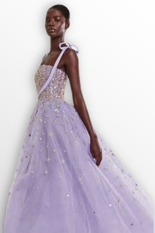 A-Line Embroidered Gown