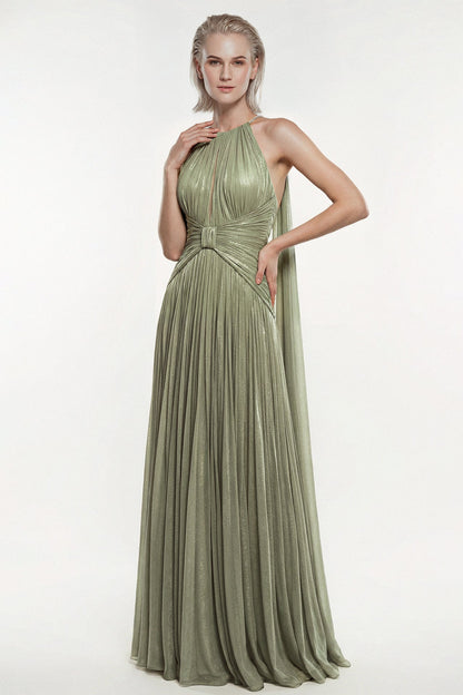 Pleated Chiffon Halter Gown