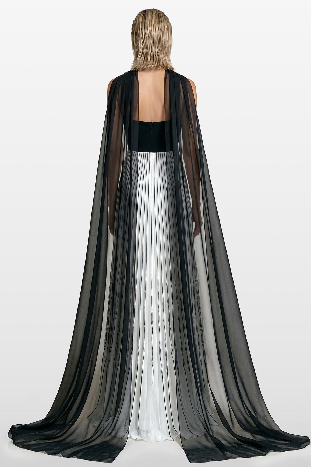 Pleated Sheer-Cape Gown