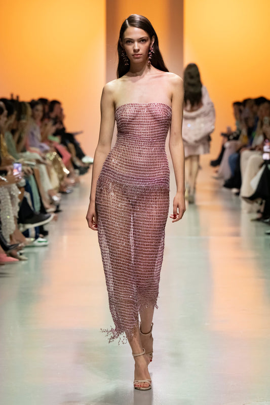 Sheer Mesh Top with Skirt