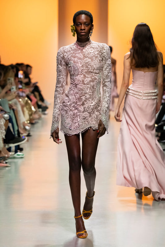Lace Sleeved Dress