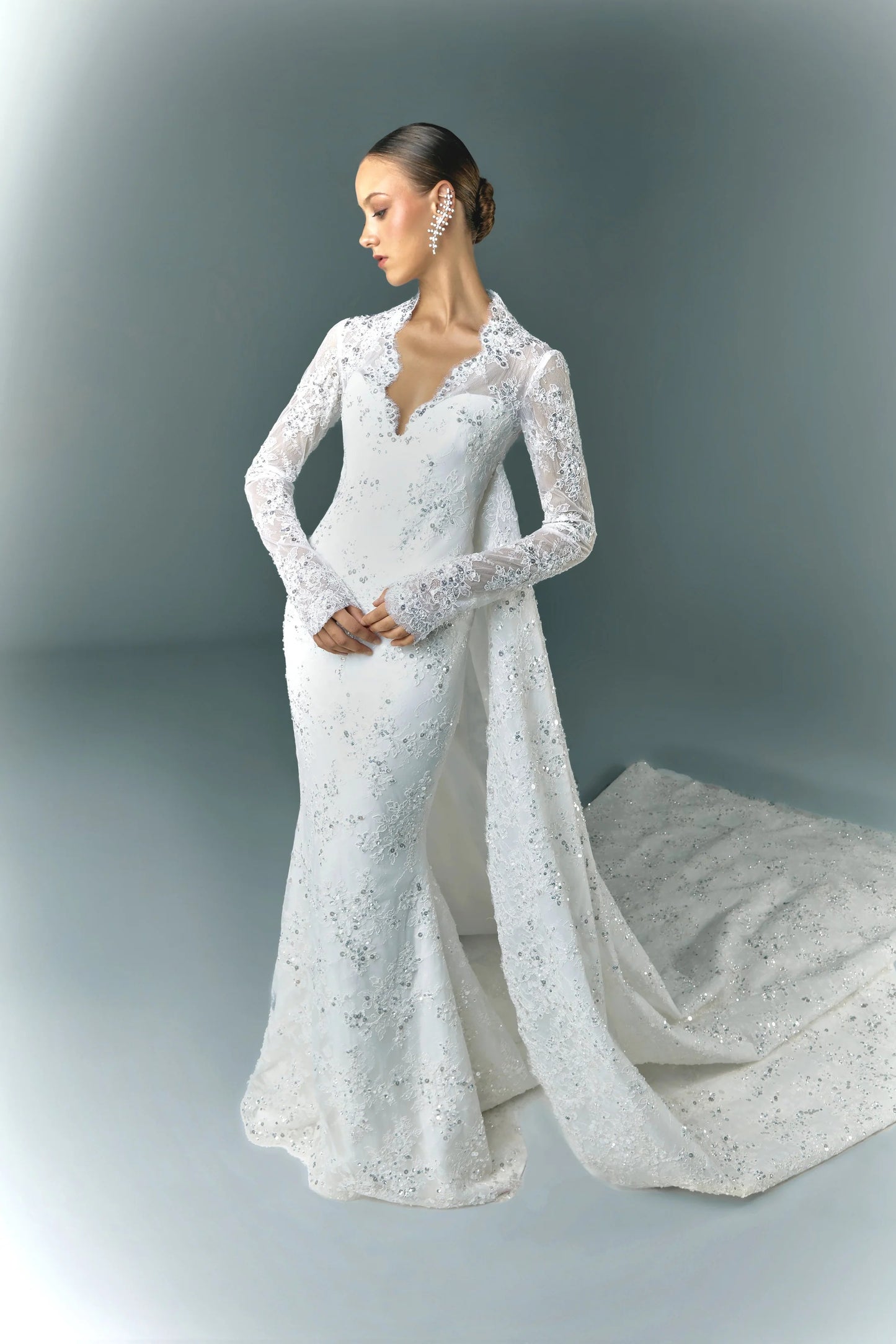 Lace Embroidered Wedding Dress With Sleeves