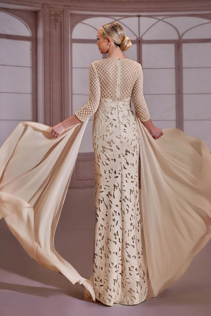 Champagne-Beige Mesh Sleeve Dress