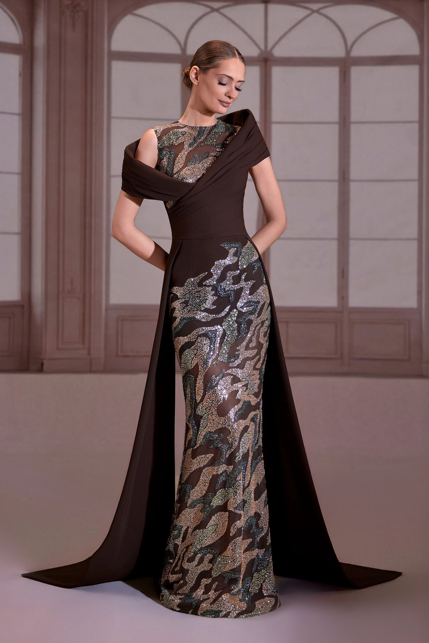 Brown Sheer Embellished Dress