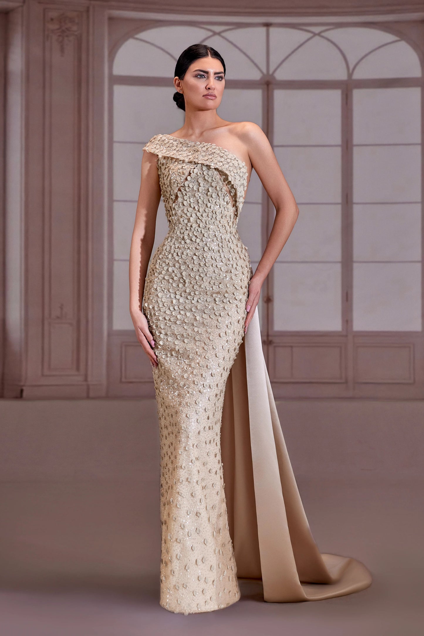 Champagne-Beige Ruffled Overlay Dress