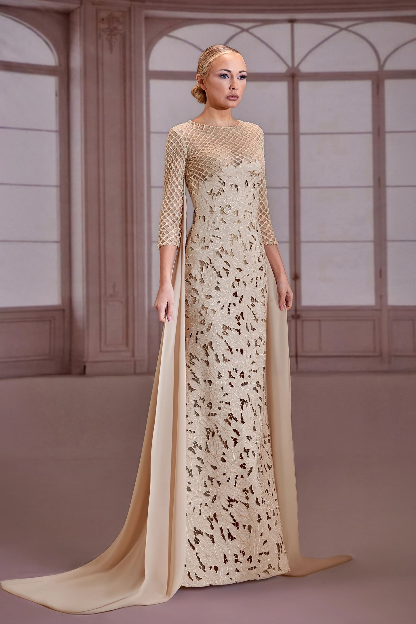 Champagne-Beige Mesh Sleeve Dress
