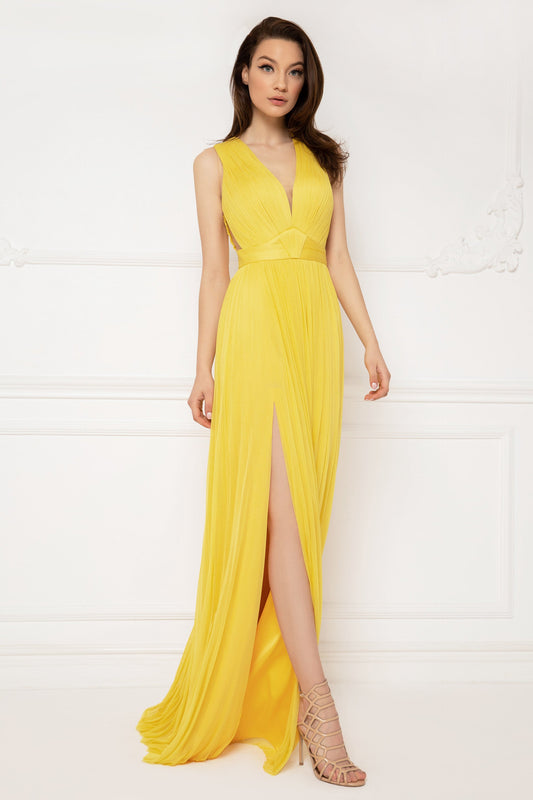 Pleated Sleeveless Gown